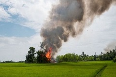 সু চি বালিতে মাথা গুঁজে রেখেছে : অ্যামনেস্টি